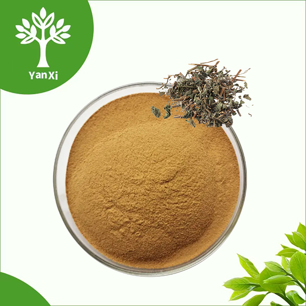 Jiaogulan Extract Powder Jiaogulan Extract Powder